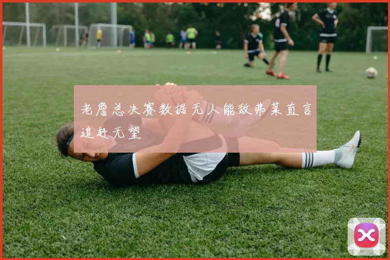 老詹总决赛数据无人能敌弗莱直言追赶无望