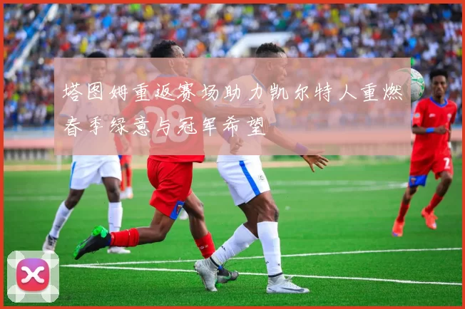 塔图姆重返赛场助力凯尔特人重燃春季绿意与冠军希望